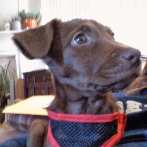 Meet your Posher, Catherine